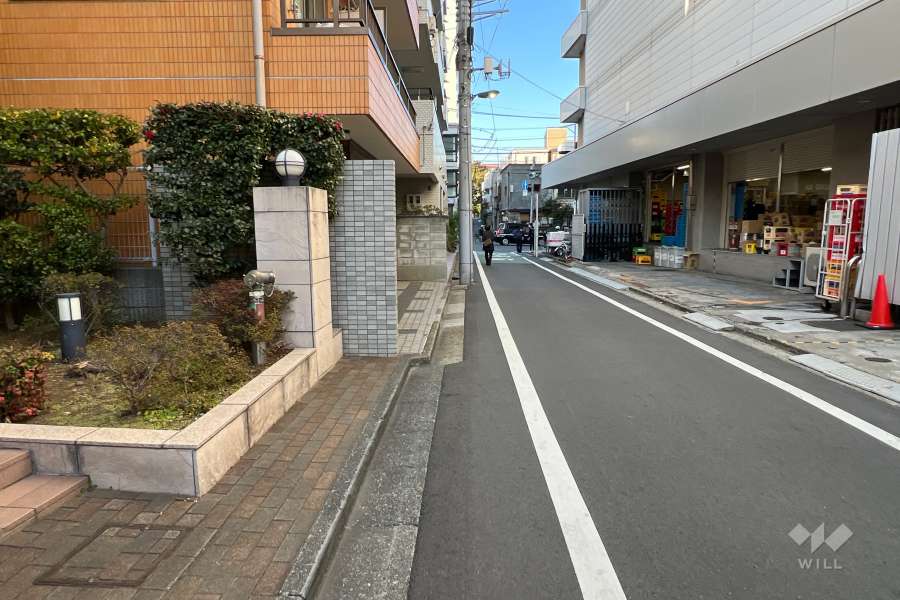 敷地の北東側前面道路（南東側から）