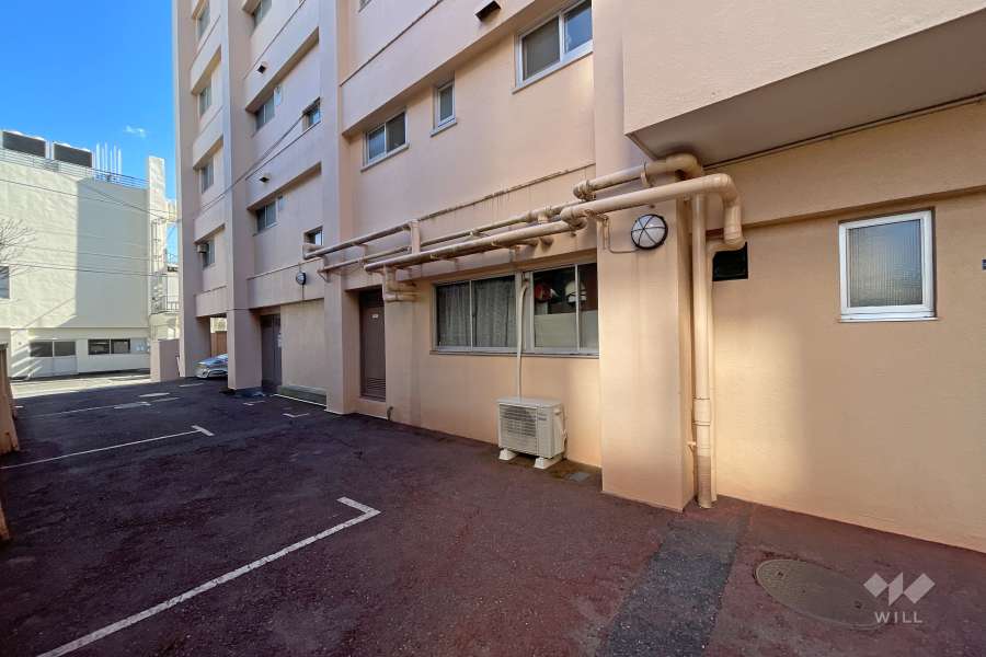 敷地内駐車場（屋外平面式・屋内平面式）