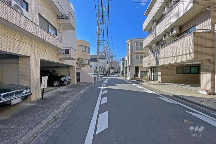 敷地の北側前面道路（西側から）