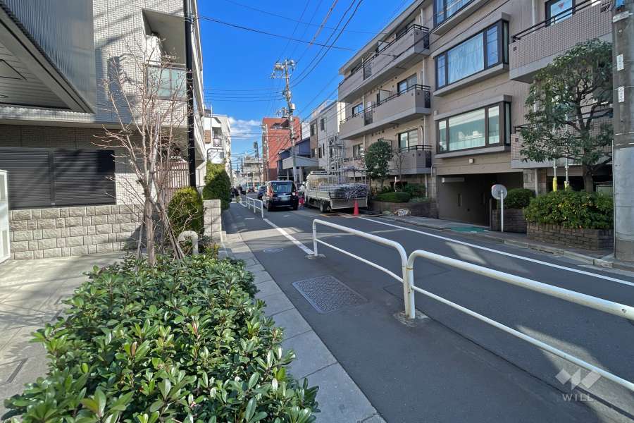 敷地南東側の前面道路（南西側から）
