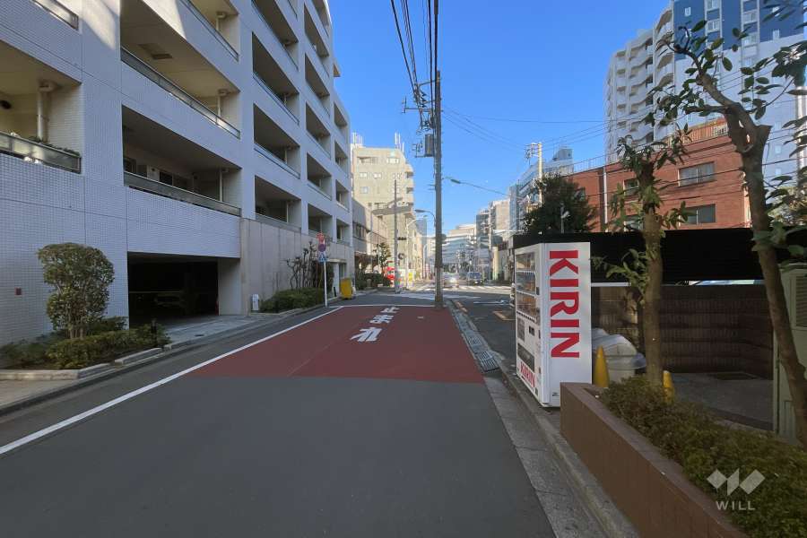 敷地の南側前面道路（西側から）