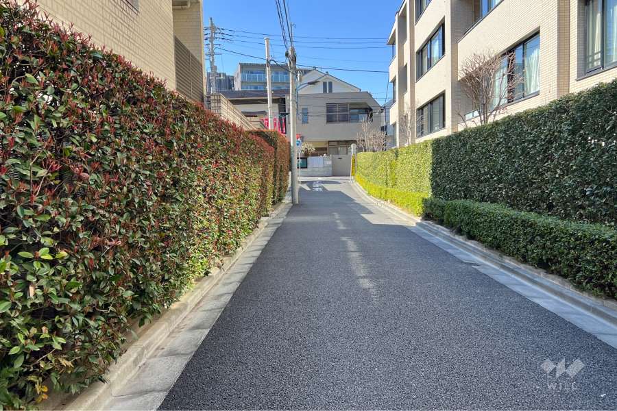 敷地の北東側前面道路（南東側から）