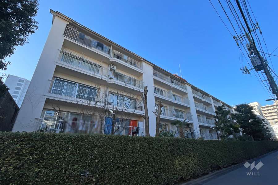 大久保ハウスの外観（南東側から）