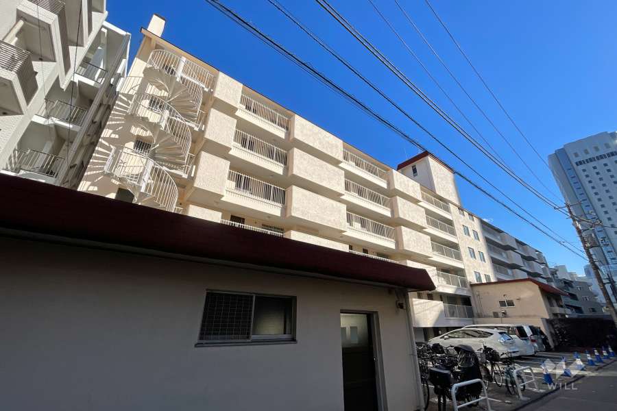 大久保ハウスの外観（北西側から）