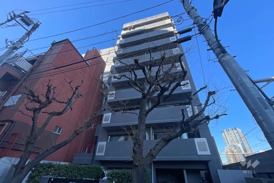 エクセルシオール新宿西戸山の外観（南東側から）