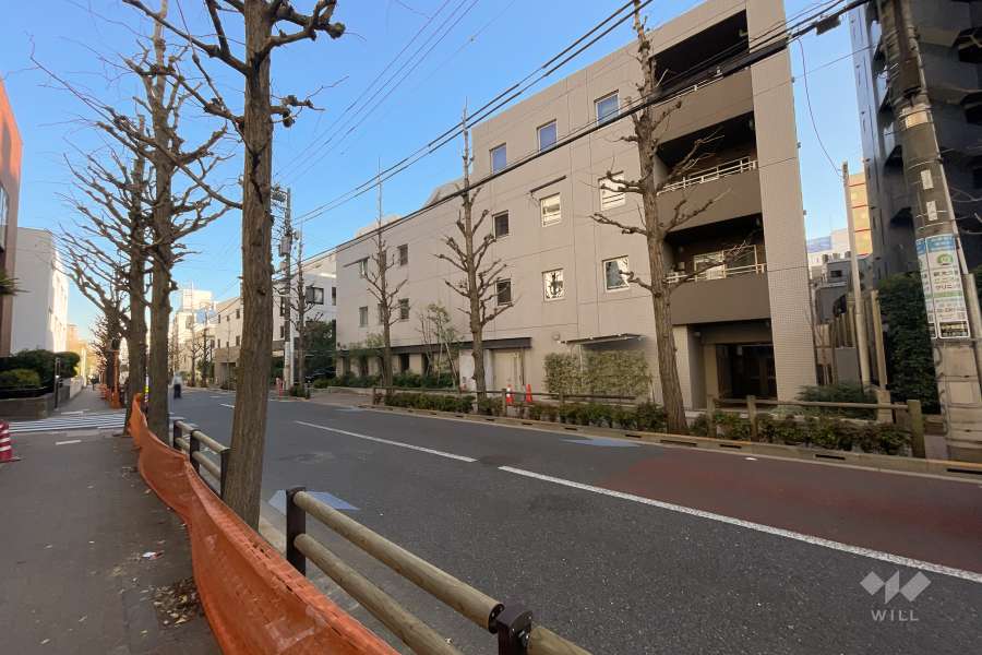 敷地北側の前面道路（西側から）