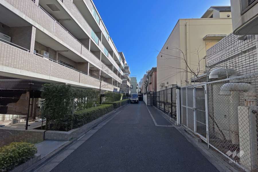 敷地東側の前面道路（南側から）