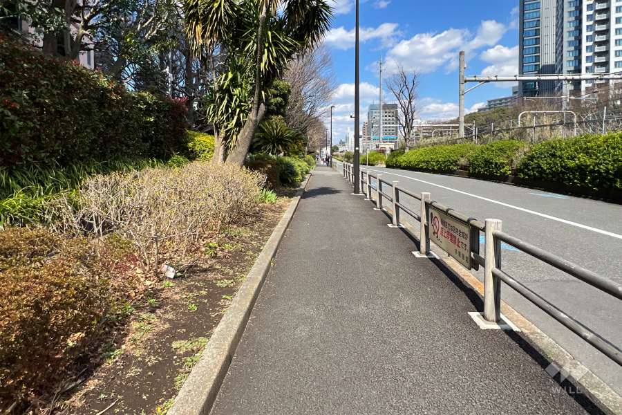 敷地の南東側前面道路（南西側から）