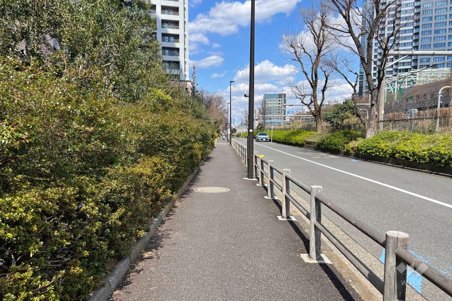 敷地東側の前面道路　