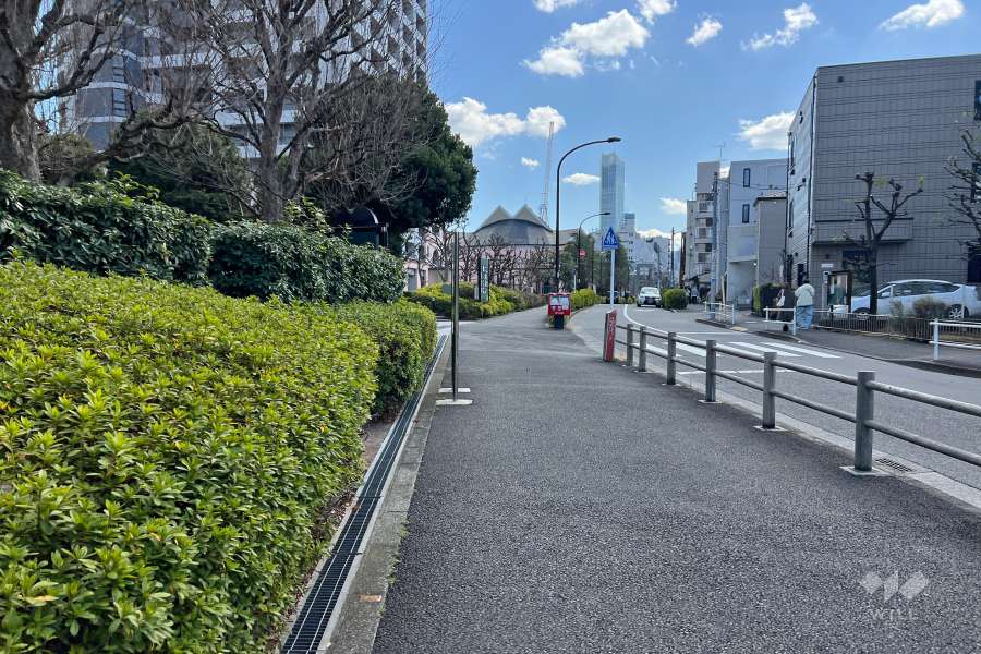 敷地西側の前面道路　