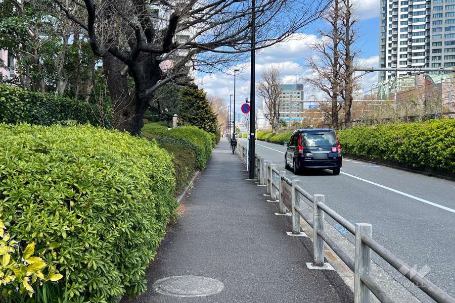 敷地の南東側前面道路（南西側から）