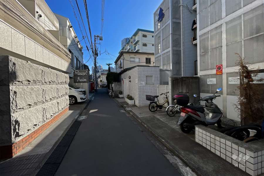 敷地東側の前面道路（北側から）