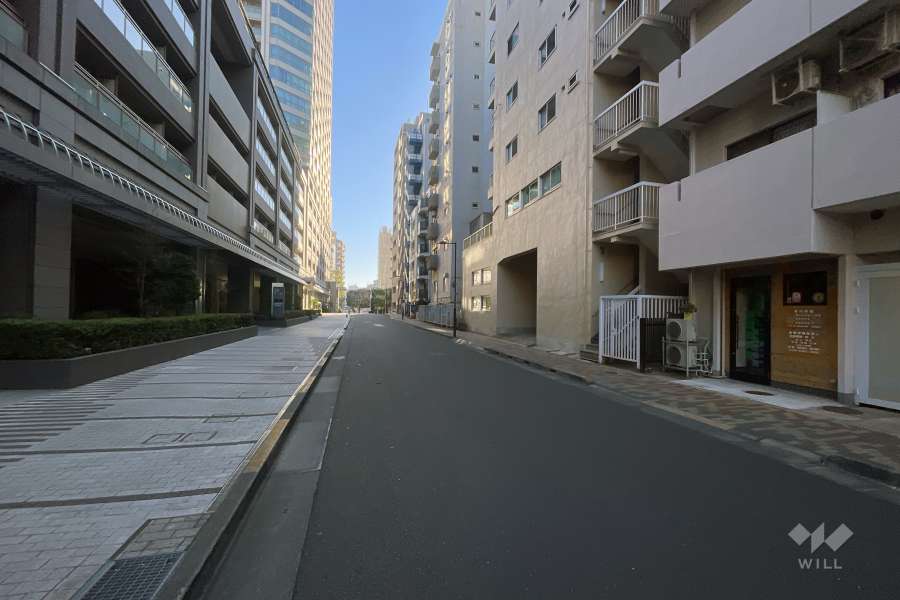 敷地の北側前面道路（西側から）