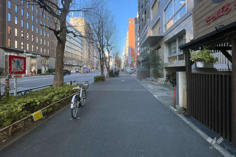 敷地の南側前面道路（東側から）