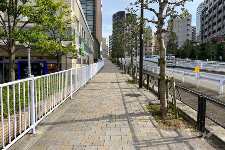 敷地西側の前面道路