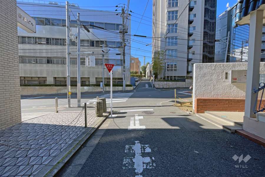 敷地の南側前面道路（東側から）。西側には牛込中央通りが通っています。