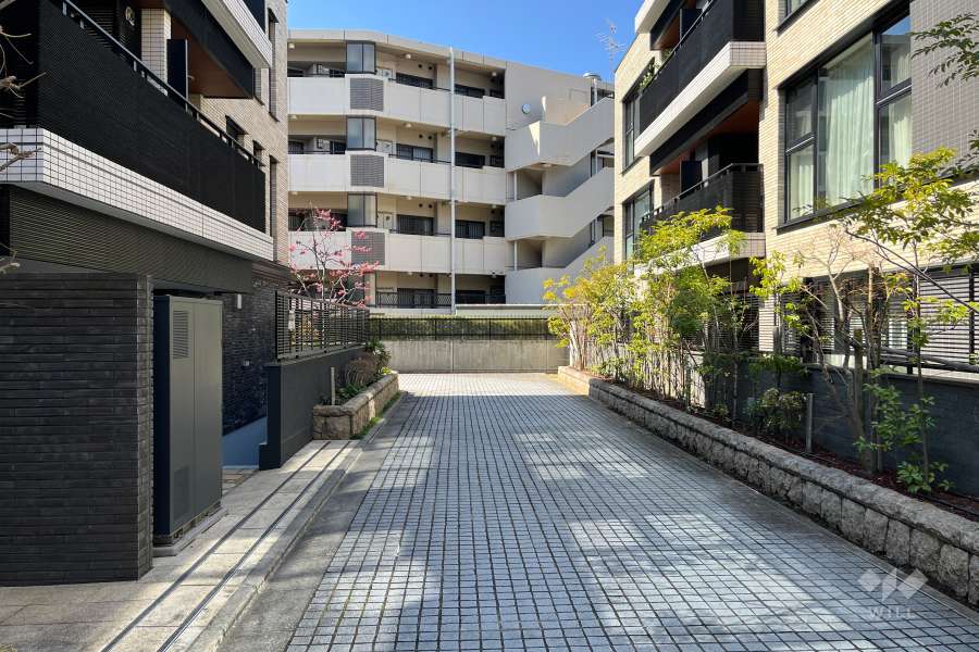 敷地の北側前面道路（東側から）