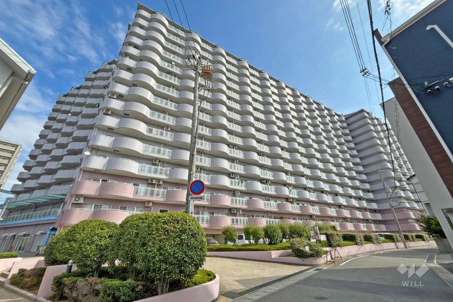 シャンテ川西の外観（西側から）