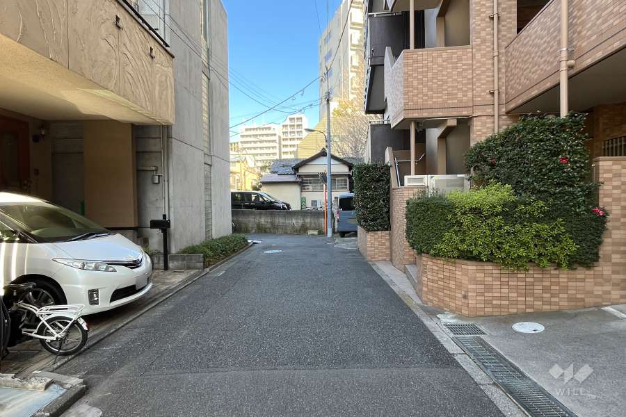 敷地の西側前面道路（南側から）