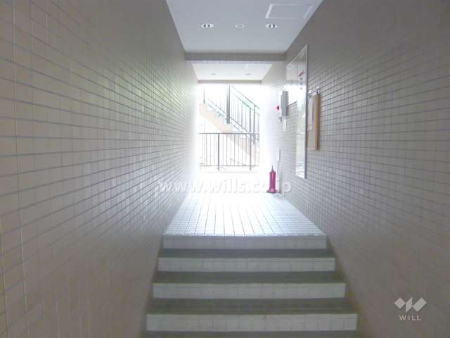 ホール