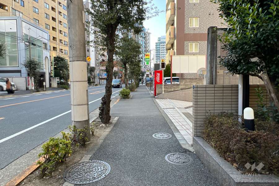 敷地の南側前面道路（東側から）