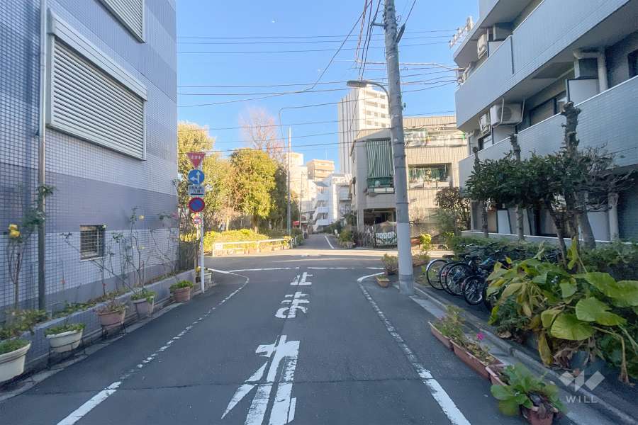 敷地西側の前面道路（南側から）
