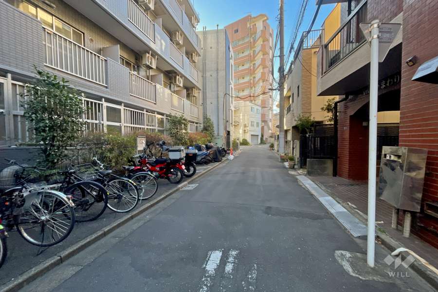 敷地西側の前面道路（北側から）