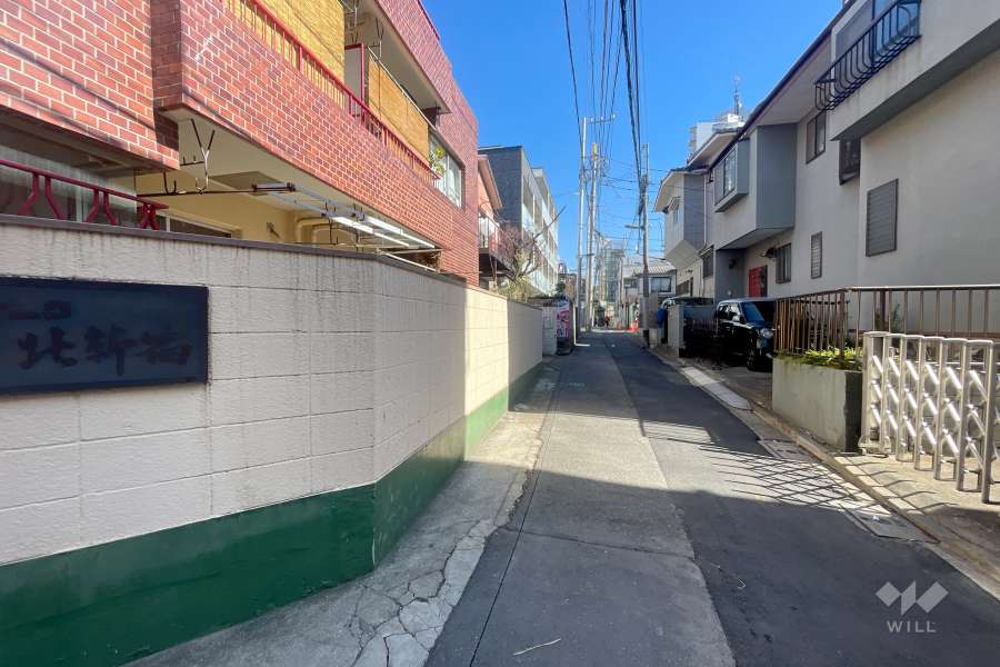 敷地の南側前面道路（西側から）