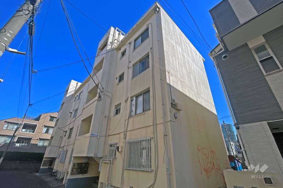 柏木アパートの外観（北西側から）