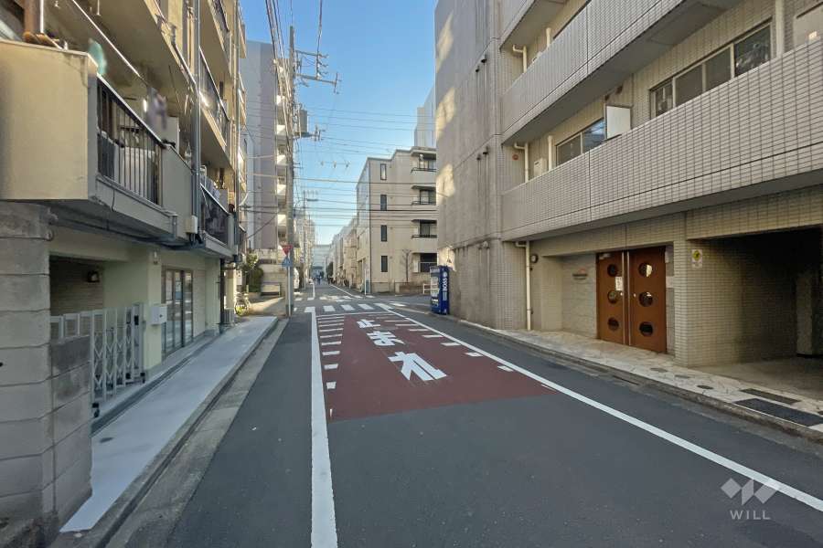 敷地北側の前面道路（西側から）