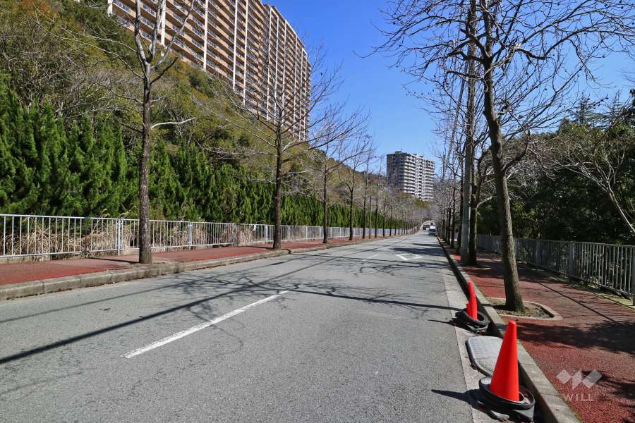 敷地北側の前面道路