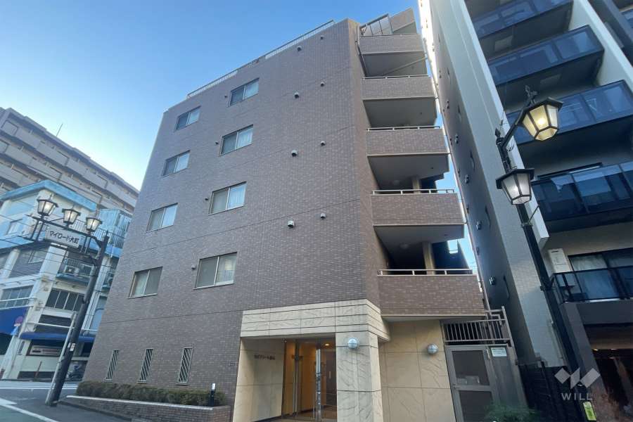 セピアコート柏木の外観（北西側から）