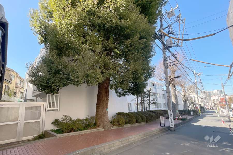 パイロットハウス北新宿の外観（北東側から）