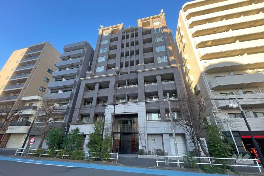 シティハウス新宿柏木の外観（北東側から）