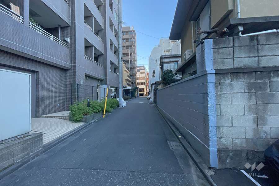 敷地の西側前面道路（北側から）