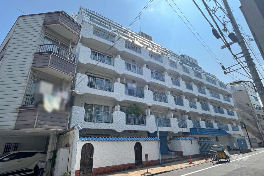 マンションヴィップ新宿柏木の外観（北西側から）
