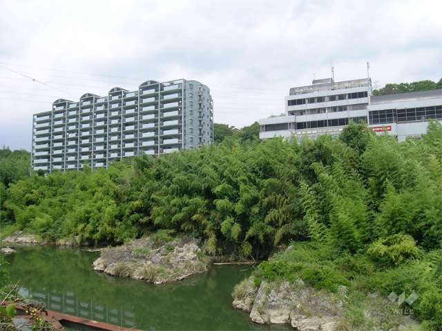 敷地の南側には猪名川が流れています。