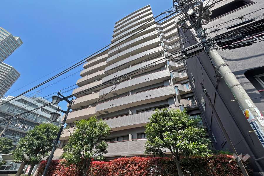 ザパームス東中野エアリィタワーの外観（南東側から）