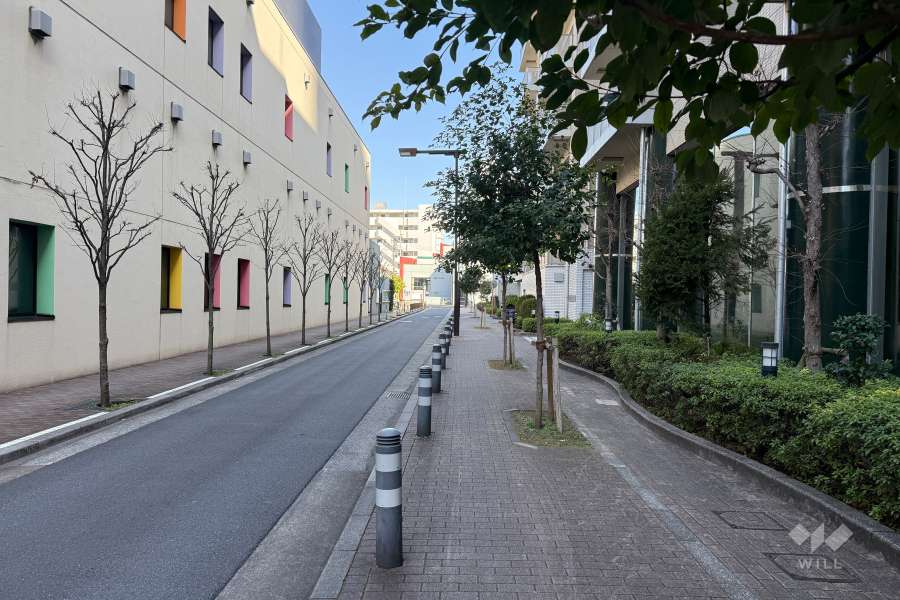 敷地の北側前面道路（西側から）