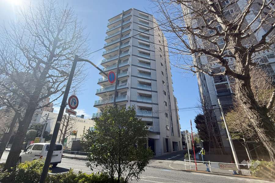 ザ・パークハウス新宿柏木の外観（北東側から）