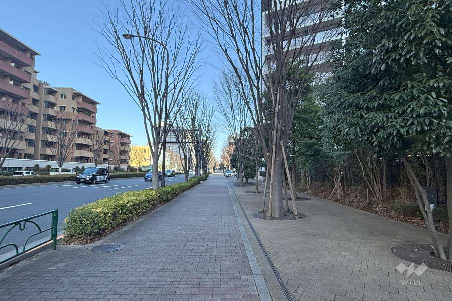 敷地の北側前面道路（西側から）