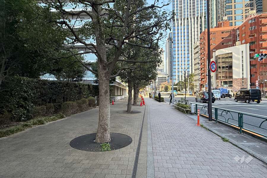 敷地の南側前面道路（西側から）