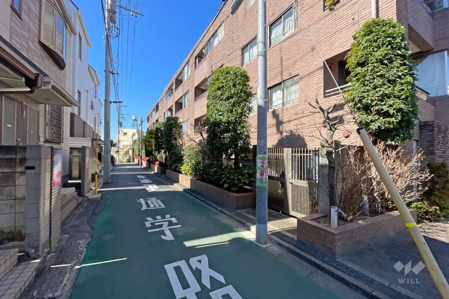 敷地の南側前面道路（東側から）