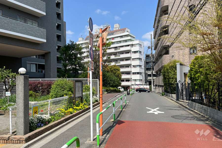 敷地東側の前面道路　