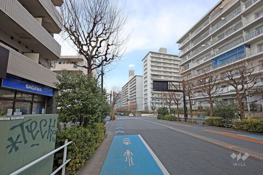 敷地東側の前面道路　