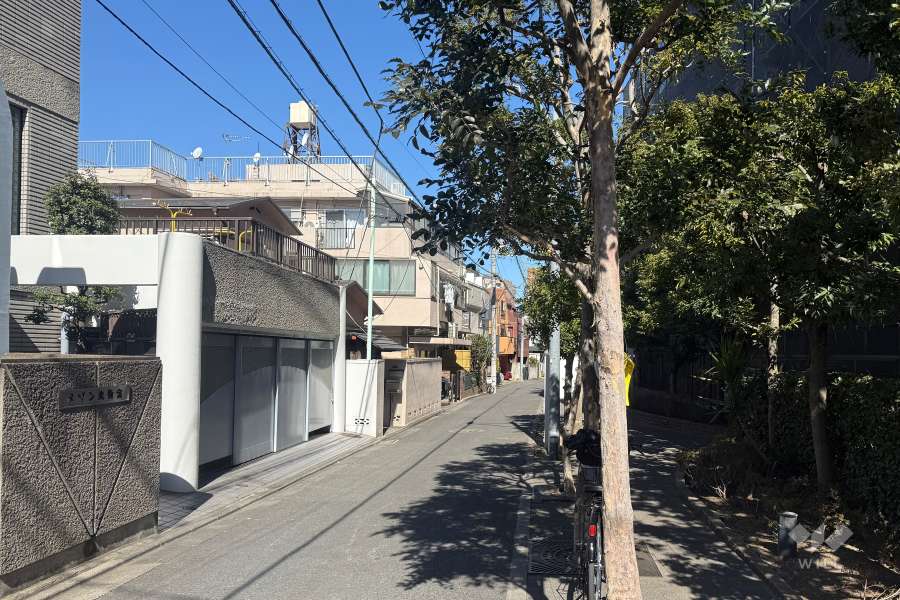 敷地の西側前面道路（南側から）
