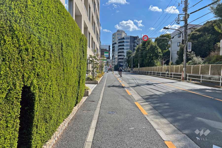 敷地の西側前面道路は牛込中央通りです（北側から）。