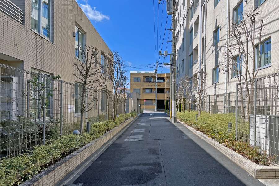 敷地の北側前面道路（東側から）