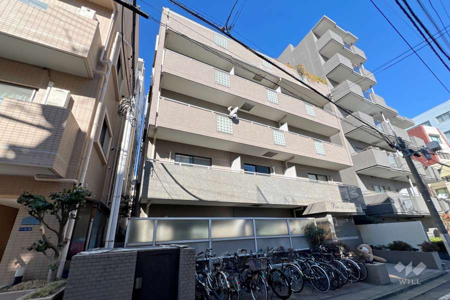 センチュリー新宿の外観（南側から）