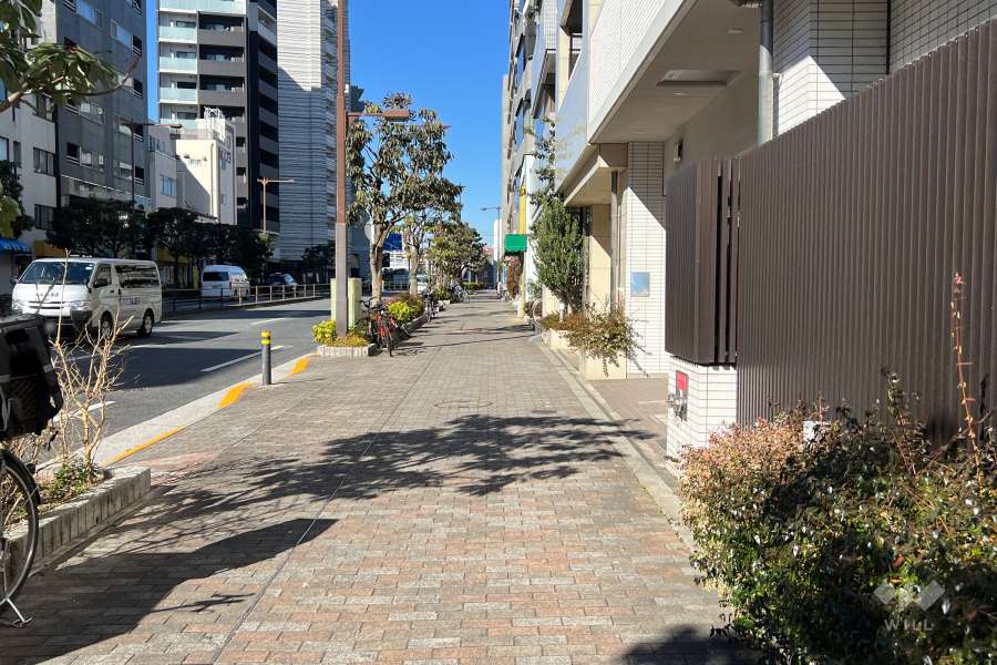 敷地の南西側前面道路（南東側から）